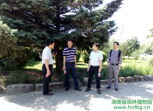 AG旗舰厅(中国游)官方网站