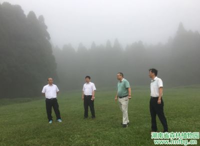 AG旗舰厅(中国游)官方网站