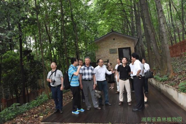 AG旗舰厅(中国游)官方网站
