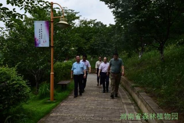 AG旗舰厅(中国游)官方网站