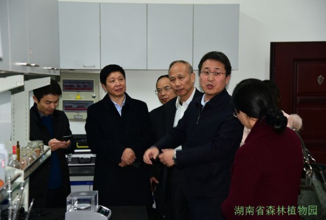 AG旗舰厅(中国游)官方网站