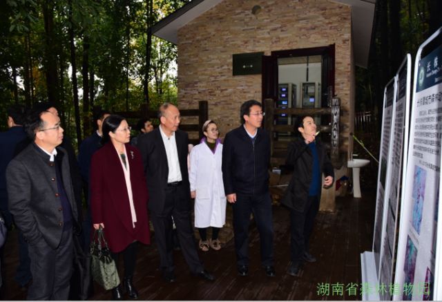 AG旗舰厅(中国游)官方网站