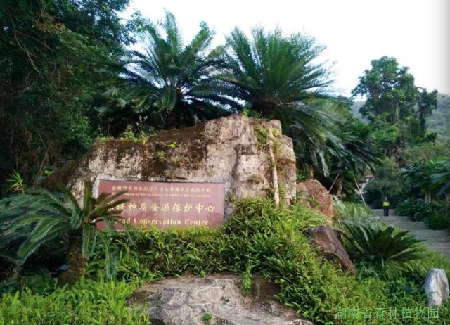 AG旗舰厅(中国游)官方网站