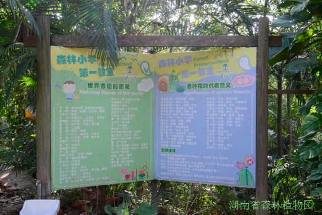 AG旗舰厅(中国游)官方网站