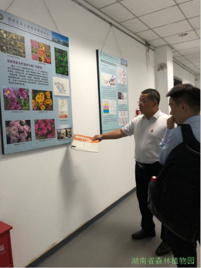AG旗舰厅(中国游)官方网站