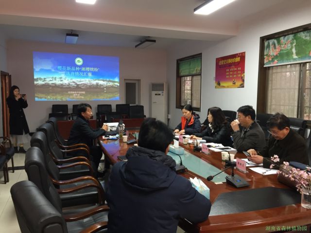AG旗舰厅(中国游)官方网站