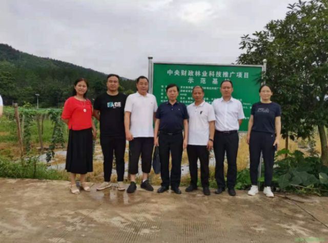 AG旗舰厅(中国游)官方网站