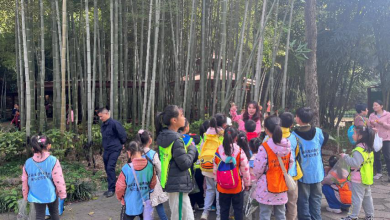 AG旗舰厅(中国游)官方网站