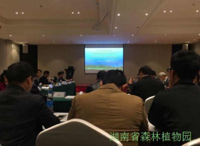 AG旗舰厅(中国游)官方网站