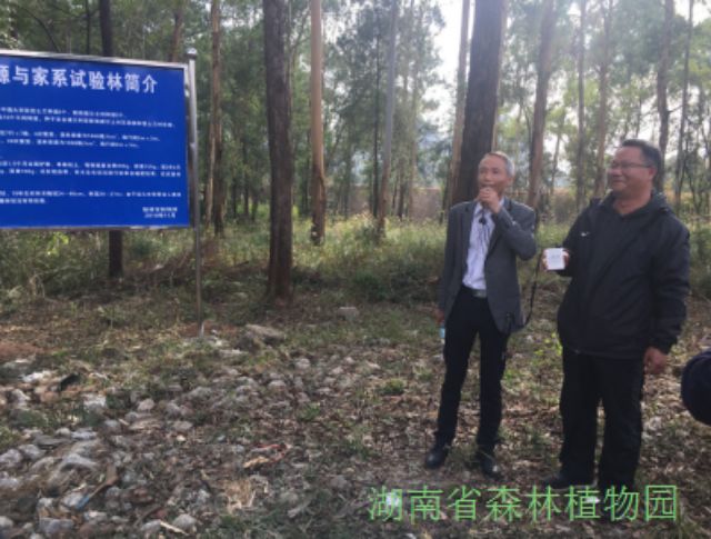 AG旗舰厅(中国游)官方网站