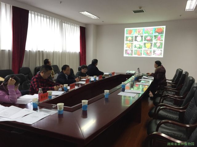 AG旗舰厅(中国游)官方网站