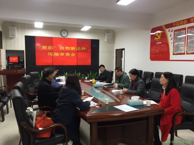 AG旗舰厅(中国游)官方网站