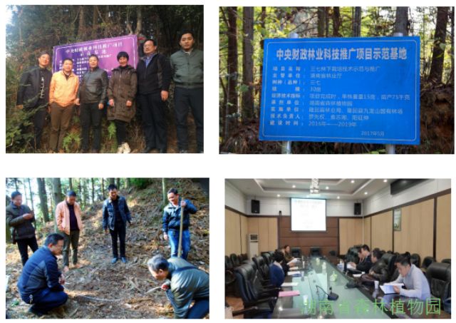 AG旗舰厅(中国游)官方网站