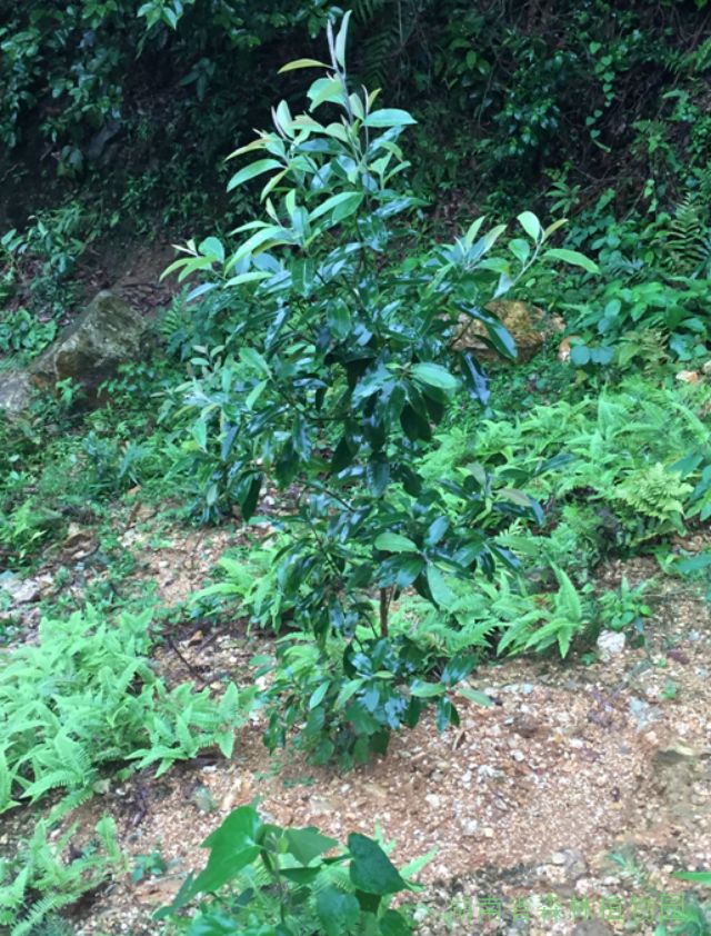 AG旗舰厅(中国游)官方网站