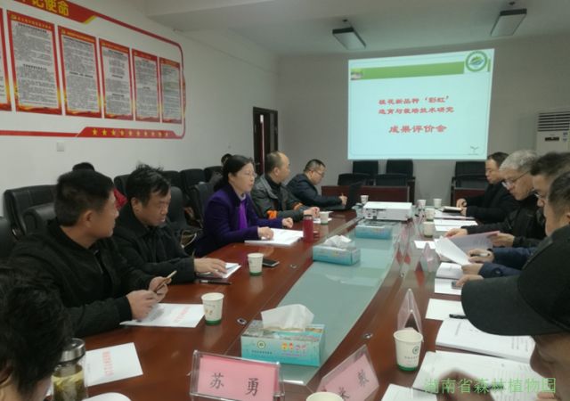 AG旗舰厅(中国游)官方网站