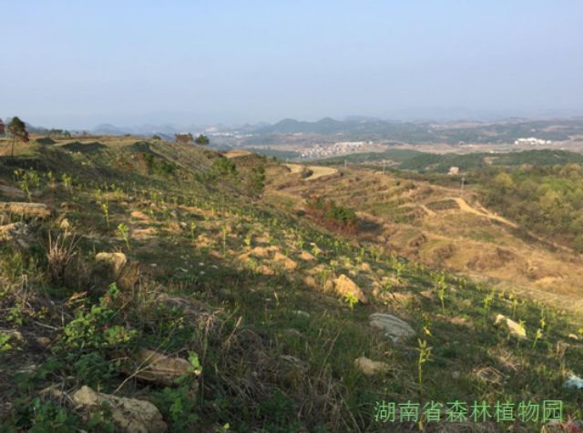 AG旗舰厅(中国游)官方网站