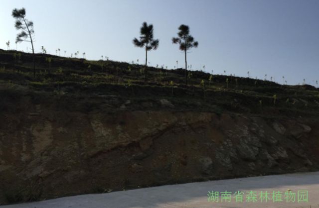 AG旗舰厅(中国游)官方网站