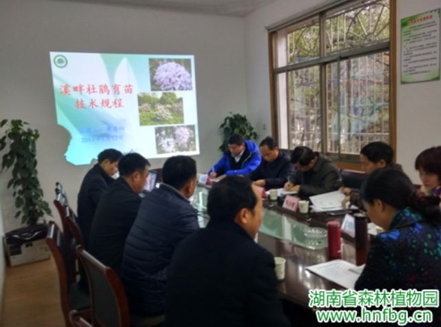 AG旗舰厅(中国游)官方网站