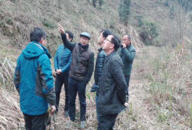 AG旗舰厅(中国游)官方网站