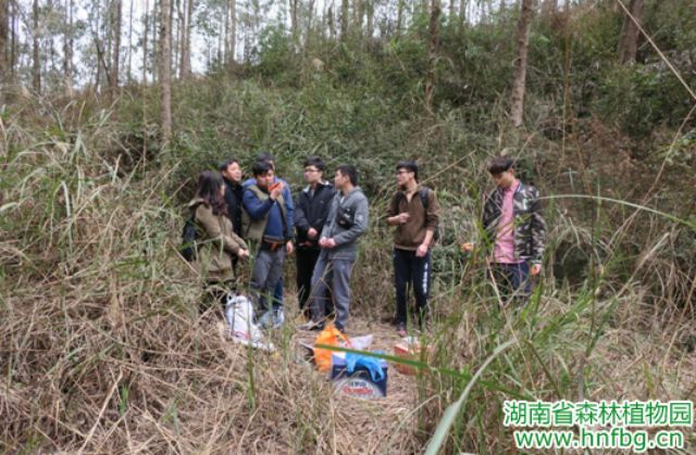 AG旗舰厅(中国游)官方网站