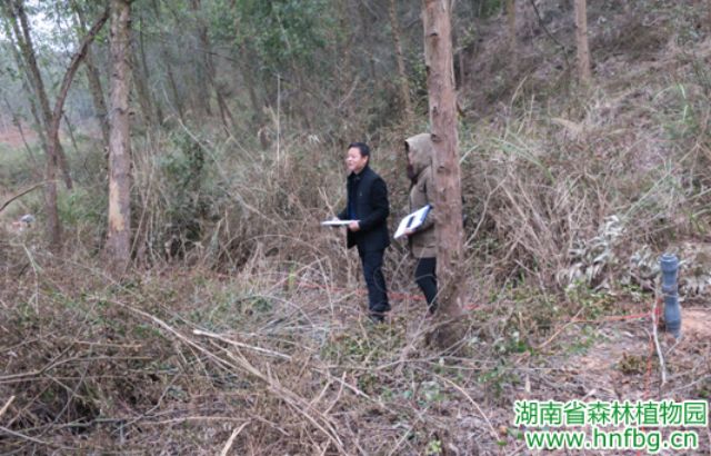 AG旗舰厅(中国游)官方网站