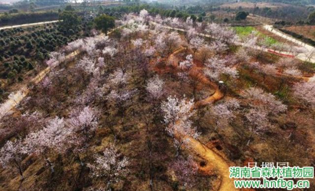 AG旗舰厅(中国游)官方网站