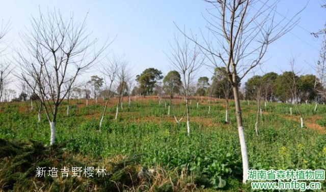 AG旗舰厅(中国游)官方网站