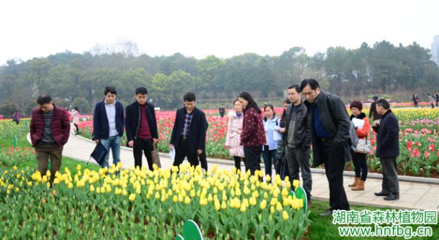 AG旗舰厅(中国游)官方网站
