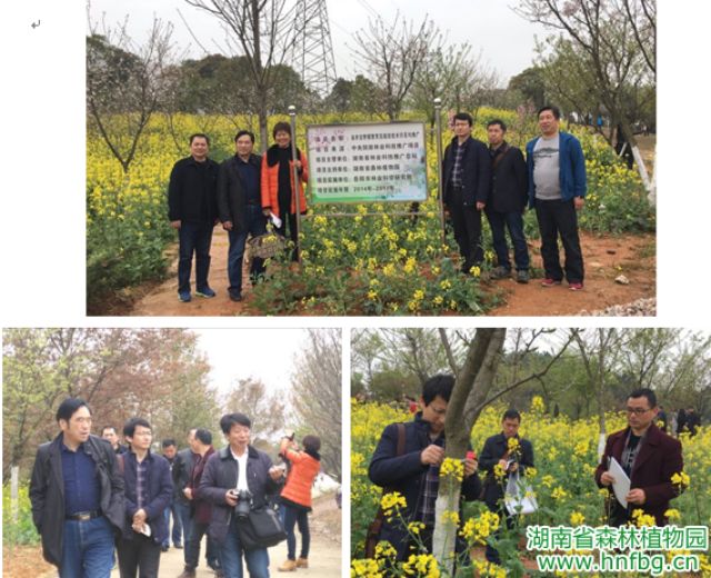 AG旗舰厅(中国游)官方网站