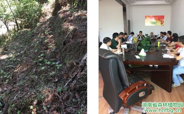 AG旗舰厅(中国游)官方网站