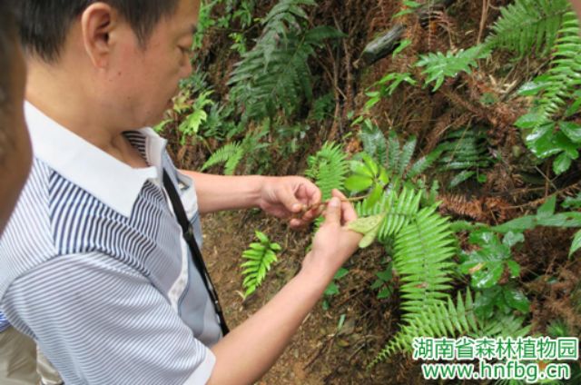 AG旗舰厅(中国游)官方网站