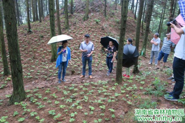 AG旗舰厅(中国游)官方网站