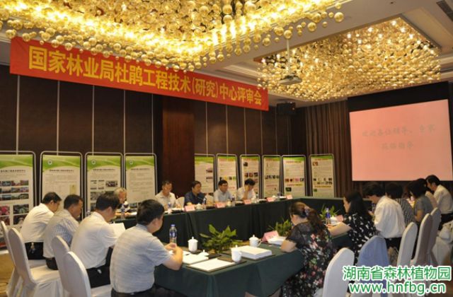 AG旗舰厅(中国游)官方网站