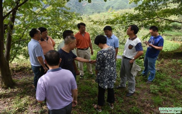 AG旗舰厅(中国游)官方网站