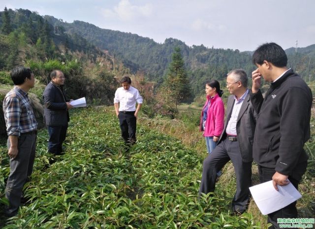 AG旗舰厅(中国游)官方网站