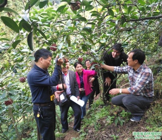 AG旗舰厅(中国游)官方网站