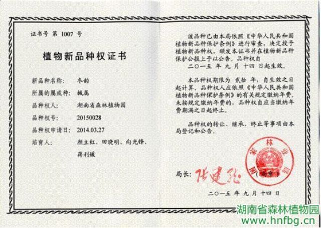 AG旗舰厅(中国游)官方网站