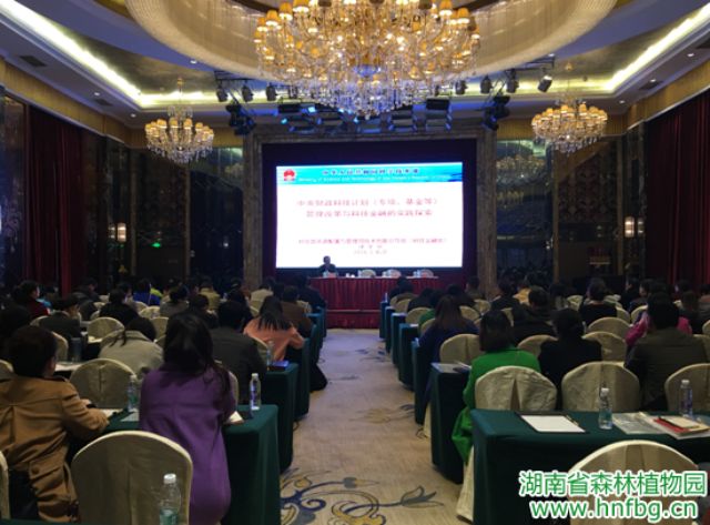 AG旗舰厅(中国游)官方网站