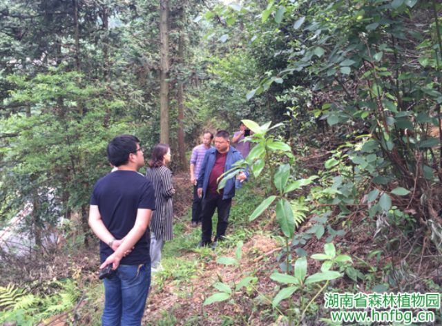 AG旗舰厅(中国游)官方网站