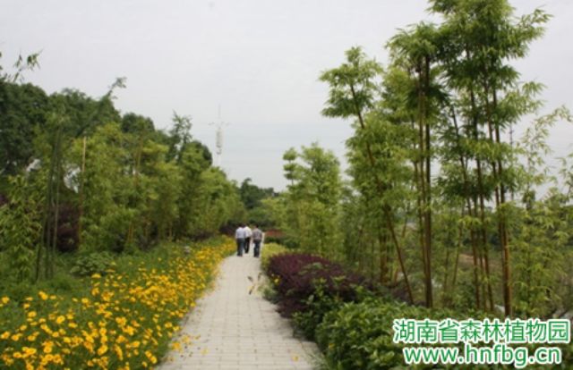 AG旗舰厅(中国游)官方网站