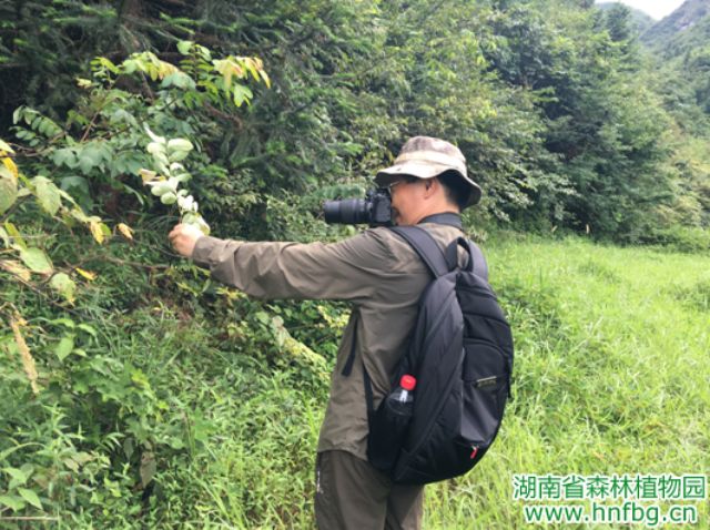 AG旗舰厅(中国游)官方网站