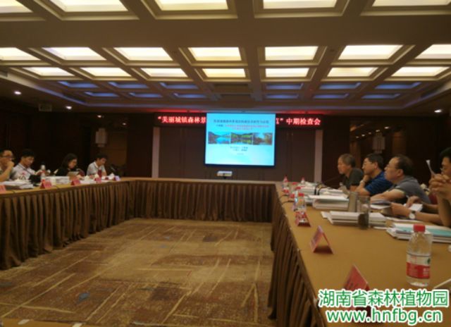 AG旗舰厅(中国游)官方网站