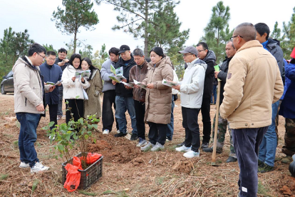 AG旗舰厅(中国游)官方网站