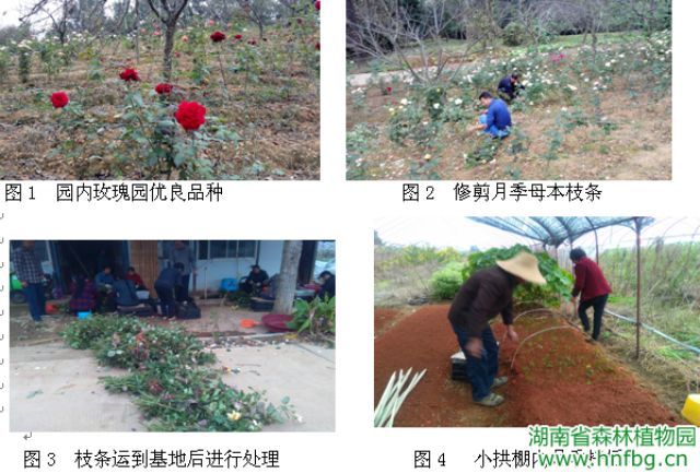 AG旗舰厅(中国游)官方网站