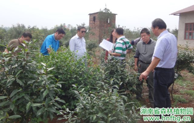 AG旗舰厅(中国游)官方网站