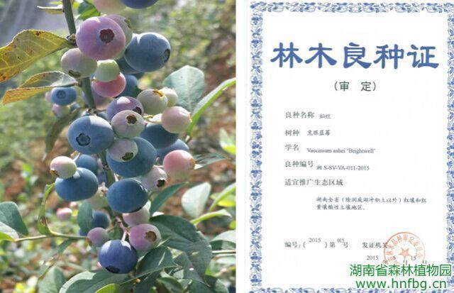 AG旗舰厅(中国游)官方网站