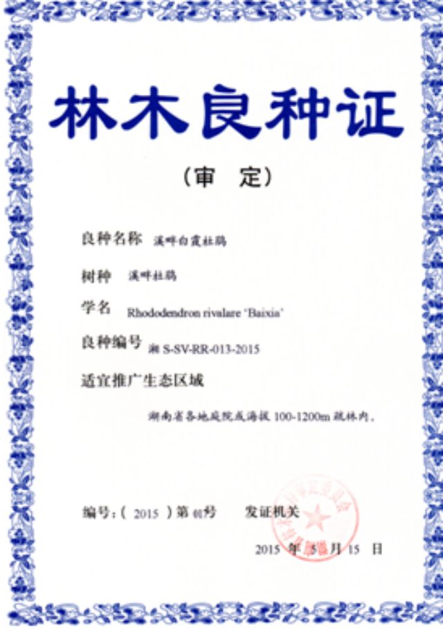 AG旗舰厅(中国游)官方网站