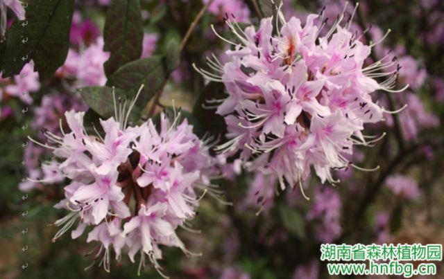 AG旗舰厅(中国游)官方网站