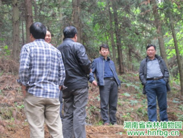 AG旗舰厅(中国游)官方网站