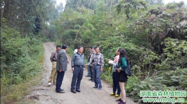 AG旗舰厅(中国游)官方网站